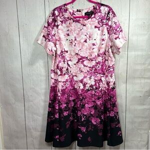 Lane Bryant Floral Pink and Black Ombré Dress